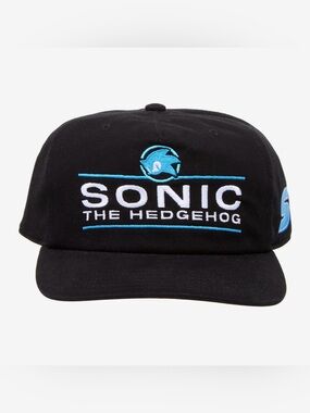 NWT sonic the hedgehog title baseball hat
